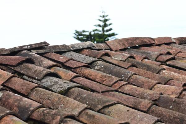 What To Do If Your Roof Is Leaking