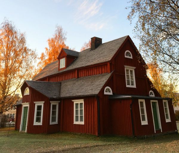 Why You Should Regularly Clean Your Roof